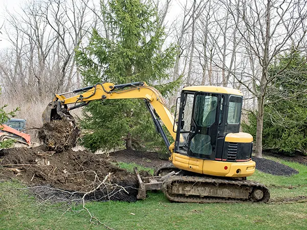 Backhoe removing tree root