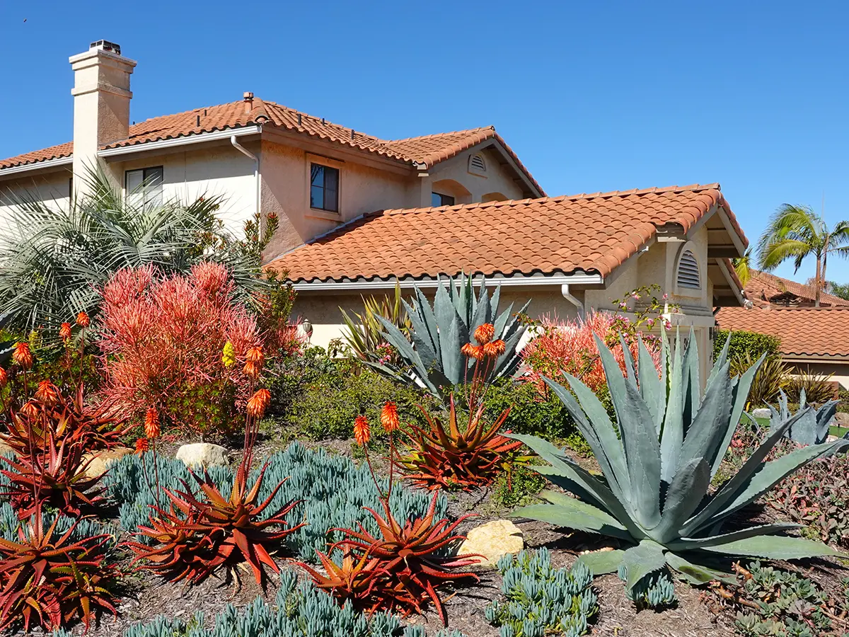 Lush home landscape with water-tolerant xeriscape plants