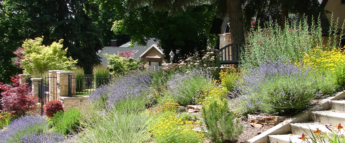 Lush garden landscaping with vibrant flowers and greenery, featuring a stone pathway and steps for outdoor design inspiration.