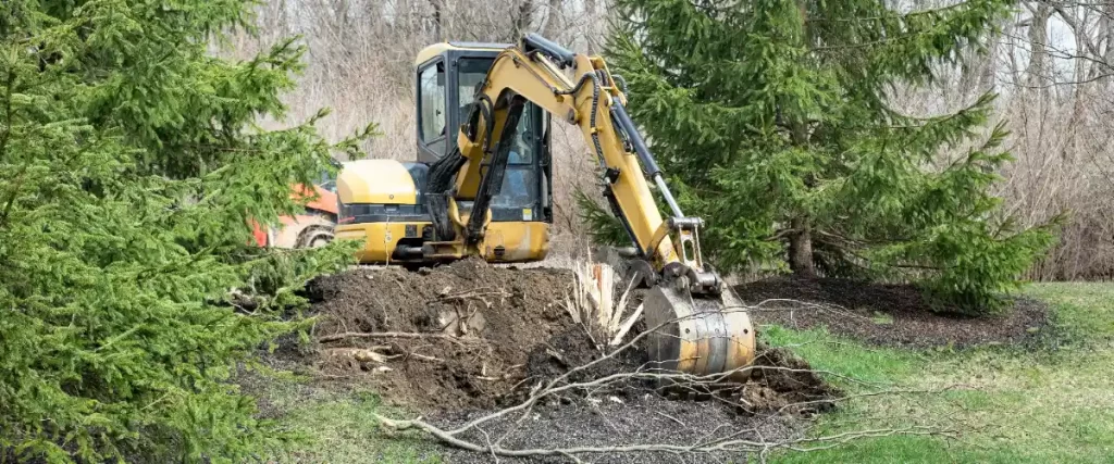 a backhoe or excavator being used for the process of tree stump removal