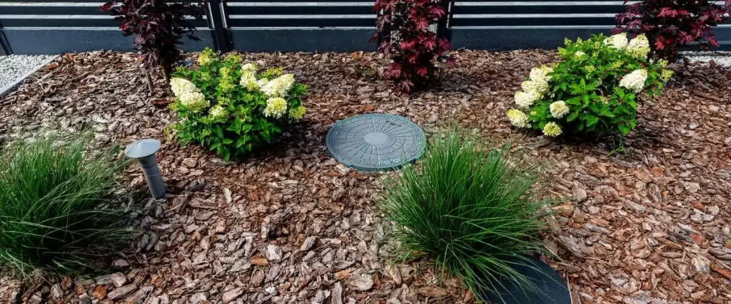 A well-maintained garden landscape featuring brown wood mulch, green shrubs, and ornamental grasses with a circular green plastic septic tank riser lid integrated into the design.